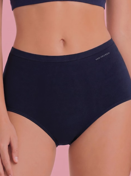Van Heusen Women Wine Solid Anti Bacterial High Absorbance Stay Dry Period Panty